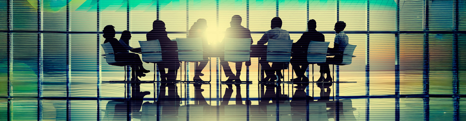 The Role of Investment Promotion Agencies (IPAs)