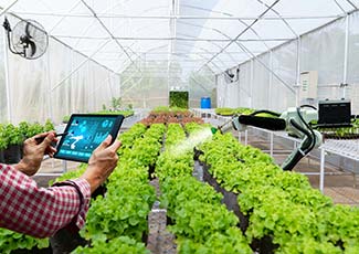 Agriculture & Agrotech